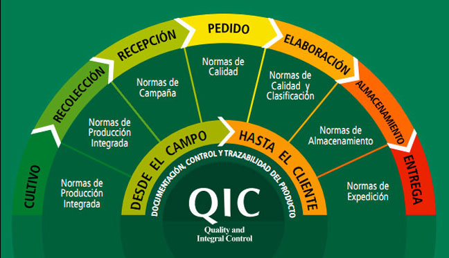 Modelo QIC